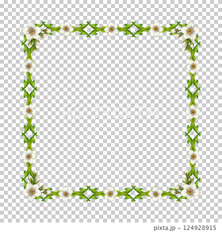 Watercolor floral frame with green vine, leaves, white flowers. Square frame template. Elegant and natural style, perfect for wedding invitations, greeting cards, quotes, or eco-friendly branding Watercolor floral frame with green vine, leaves, white flowers. Square frame template. Elegant and natural style, perfect for wedding invitations, greeting cards, quotes, or eco-friendly branding 124928915