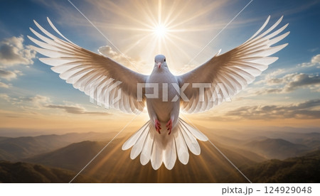 illustration of a white dove flying free with delicate rays of light behind it 124929048