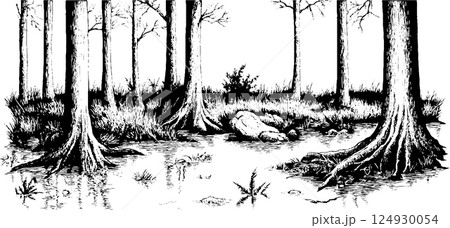 Swampy Forest Landscape Illustration 124930054