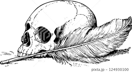 Skull and Feather Illustration Skull and Feather Illustration 124930100