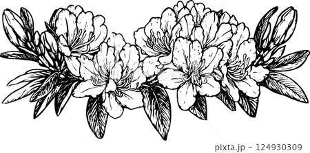 Intricate Black and White Floral Illustration 124930309