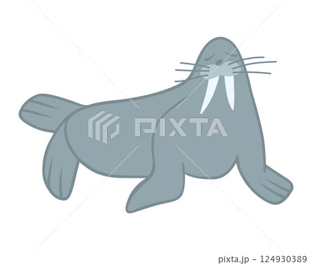 Vector isolated illustration of a walrus on a white background. Vector isolated illustration of a walrus on a white background. 124930389