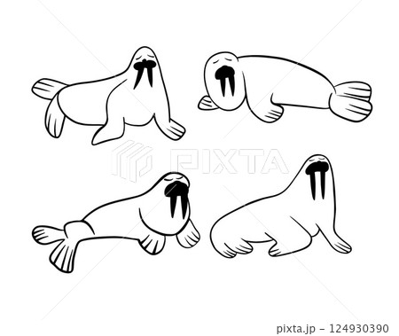 Vector isolated illustration of a set of cartoon walruses on a white background. Contour drawing of walruses. Vector isolated illustration of a set of cartoon walruses on a white background. Contour drawing of walruses. 124930390