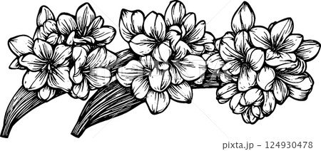 A detailed black and white illustration of three clusters of flowers with leaves, showcasing intricate petal designs and textures. 124930478