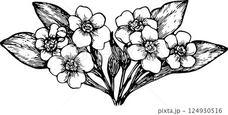 A detailed black and white illustration of a bouquet of flowers with leaves. The flowers are depicted with multiple petals and a naturalistic style, showcasing their beauty and intricacy. A detailed black and white illustration of a bouquet of flowers with leaves. The flowers are depicted with multiple petals and a naturalistic style, showcasing their beauty and intricacy. 124930516