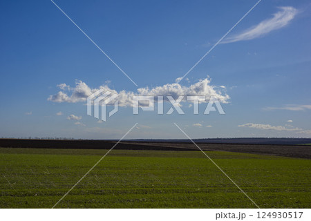 Green grass field on small hills and blue sky with clouds Green grass field on small hills and blue sky with clouds 124930517