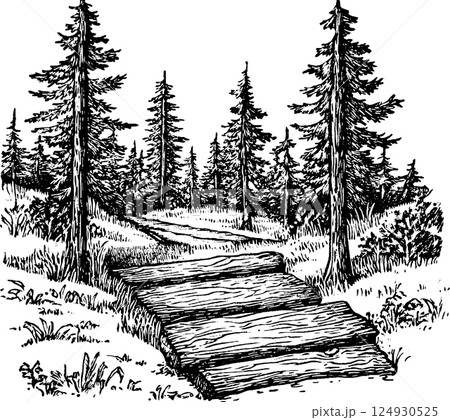 A hand-drawn illustration of a forest path with wooden logs as stepping stones. Tall pine trees surround the pathway, creating a serene natural setting. 124930525