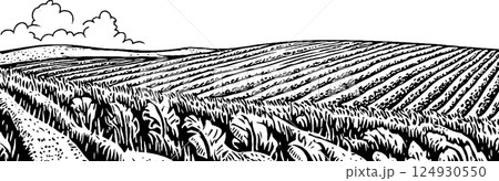 A detailed black and white illustration of a vast agricultural landscape featuring rows of crops, rolling hills, and a cloudy sky in the background. 124930550