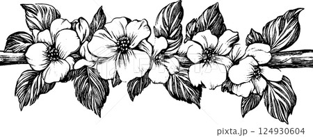 Intricate Black and White Floral Illustration 124930604
