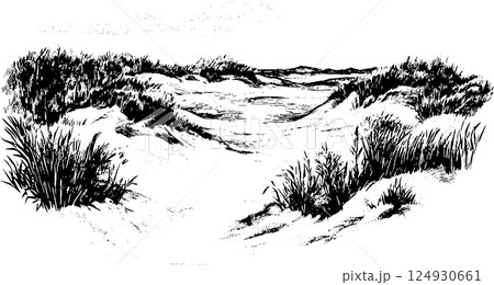 Serene Black and White Dune Landscape Serene Black and White Dune Landscape 124930661