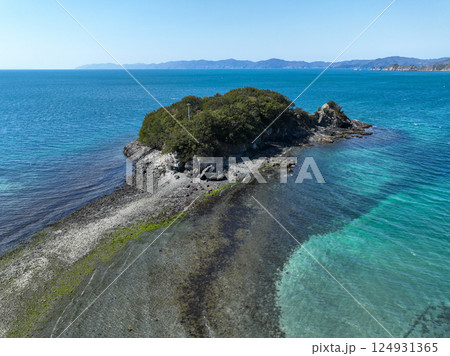 愛媛県八幡浜市　ねずみ島の風景 124931365