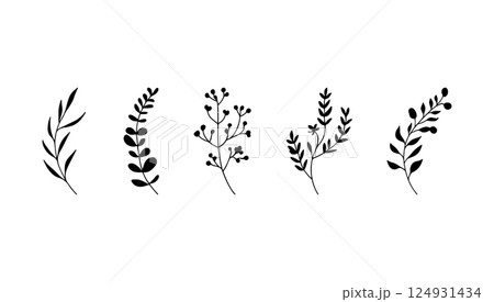 Bold silhouette botanical element. A bold silhouette botanical element with high contrast leaf and plant shapes. 124931434