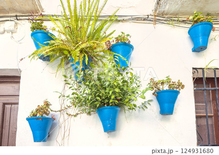 The Calleja de las Flores, popular tourist street of Cordoba city in Andalusia, Spain. Vibrant blue flower pots adorn a whitewashed wall, overflowing with lush greenery. 124931680