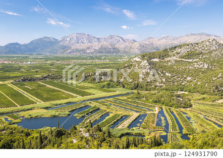 Delta of the Neretva river near the mouth of river into Adriatic Sea, Croatia, Europe. Lush valley with unique agriculture fields and irrigation canals, set against a mountain backdrop. Delta of the Neretva river near the mouth of river into Adriatic Sea, Croatia, Europe. Lush valley with unique agriculture fields and irrigation canals, set against a mountain backdrop. 124931790