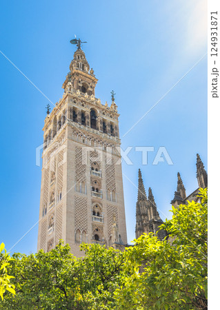 The Giralda bell tower of The Seville Cathedral, The Cathedral of Saint Mary of the See in Seville town, Andalusia, Spain, Europe. Tall, ornate tower against a bright blue sky. The Giralda bell tower of The Seville Cathedral, The Cathedral of Saint Mary of the See in Seville town, Andalusia, Spain, Europe. Tall, ornate tower against a bright blue sky. 124931871