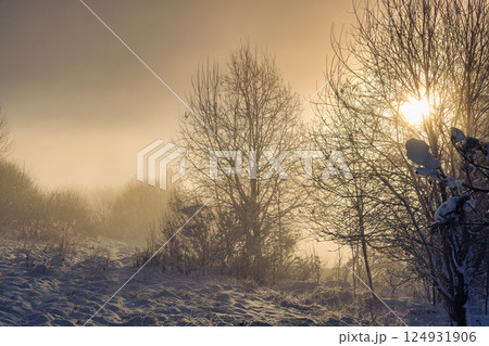 Snowy winter landscape in a misty sunny morning. The Orava region in north of Slovakia, Europe. Snowy winter landscape in a misty sunny morning. The Orava region in north of Slovakia, Europe. 124931906