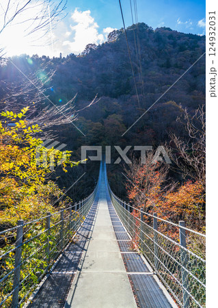 【徳島】龍宮崖公園　つり橋【東祖谷】 124932031