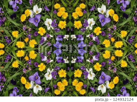 Wildflower bloom kaleidoscope pattern showcasing vibrant colors in nature's tapestry 124932124