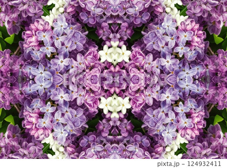 Symmetrical lilac bloom kaleidoscope pattern showcasing purple and white flowers 124932411