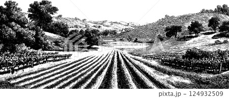 Vintage black and white rural landscape with fields and rolling hills 124932509
