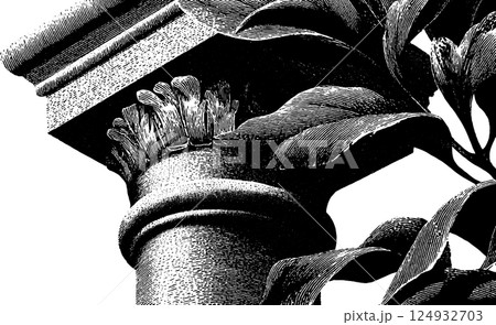 Ornate corinthian column with stylized leaves in black and white 124932703