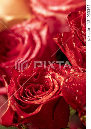 covered with drops of water, a group of red rose flowers for a gift 124933363