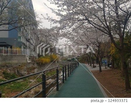 building site with house under construction building site with house under construction 124933371