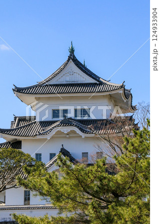 伊賀上野城 伊賀上野城 124933904