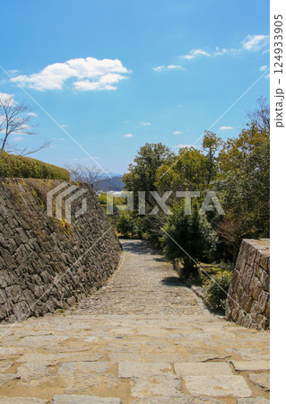 伊賀上野城 伊賀上野城 124933905