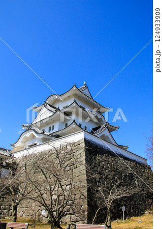 伊賀上野城 伊賀上野城 124933909