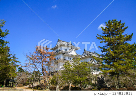 伊賀上野城 伊賀上野城 124933915