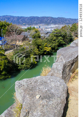 伊賀上野城 伊賀上野城 124933918