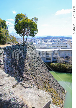 伊賀上野城 伊賀上野城 124933919