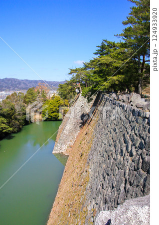 伊賀上野城 伊賀上野城 124933920