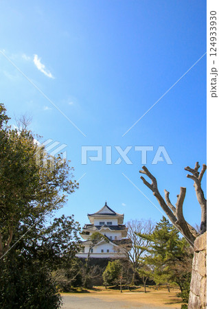 伊賀上野城 伊賀上野城 124933930