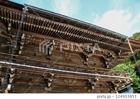 伊奈波神社 124933953