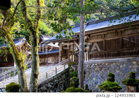 伊奈波神社 124933965