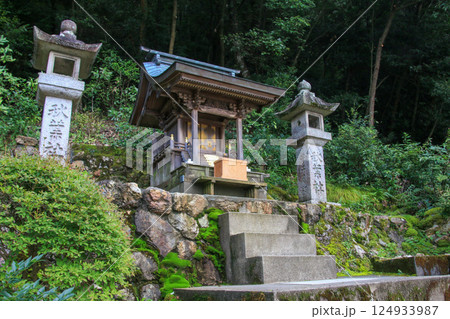 伊奈波神社 124933987