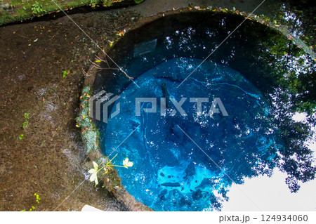 柿田川公園 柿田川公園 124934060