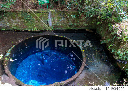 柿田川公園 柿田川公園 124934062