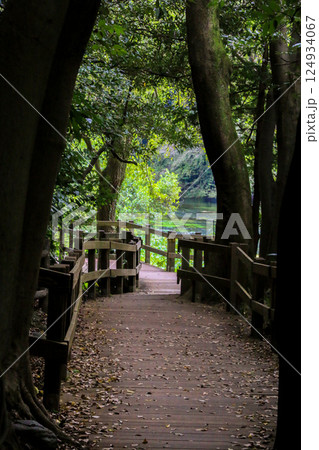 柿田川公園 柿田川公園 124934067
