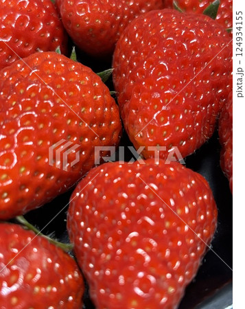 たくさんのイチゴ、紅ほっぺ 124934155