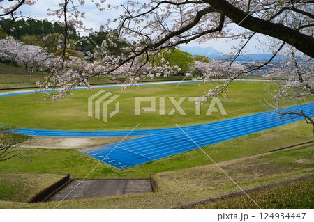 旭ヶ丘運動公園 R7年春 旭ヶ丘運動公園 R7年春 124934447
