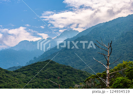 屋久島世界自然遺産の絶景(8月)青空と照葉樹林の山々 屋久島世界自然遺産の絶景(8月)青空と照葉樹林の山々 124934519