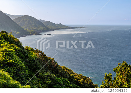 屋久島世界自然遺産の絶景(8月)真夏の日差しを浴びる森と海 124934533