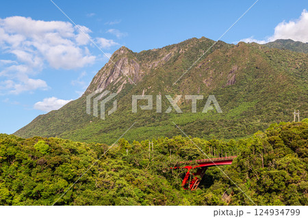 世界自然遺産モッチョム岳 屋久島(秋 世界自然遺産モッチョム岳 屋久島(秋 124934799