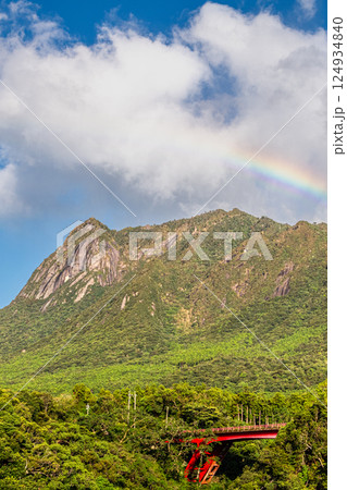 屋久島世界自然遺産 モッチョム岳と虹(9月) 屋久島世界自然遺産 モッチョム岳と虹(9月) 124934840