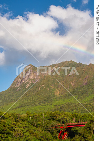 屋久島世界自然遺産 モッチョム岳と虹(9月) 屋久島世界自然遺産 モッチョム岳と虹(9月) 124934841