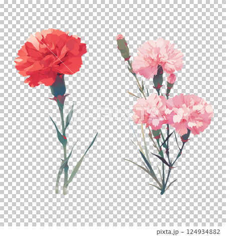 紅色和粉紅色康乃馨 124934882