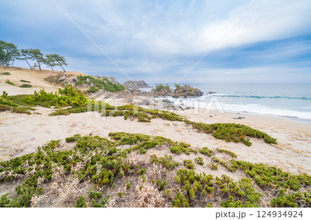 「青森県」大須賀海岸・種差海岸　八戸市 124934924
